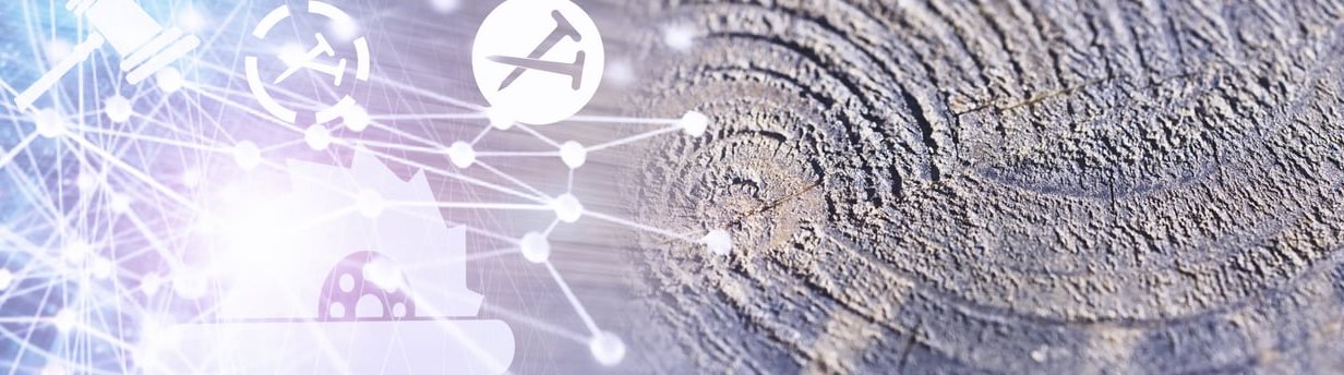 seo network connections