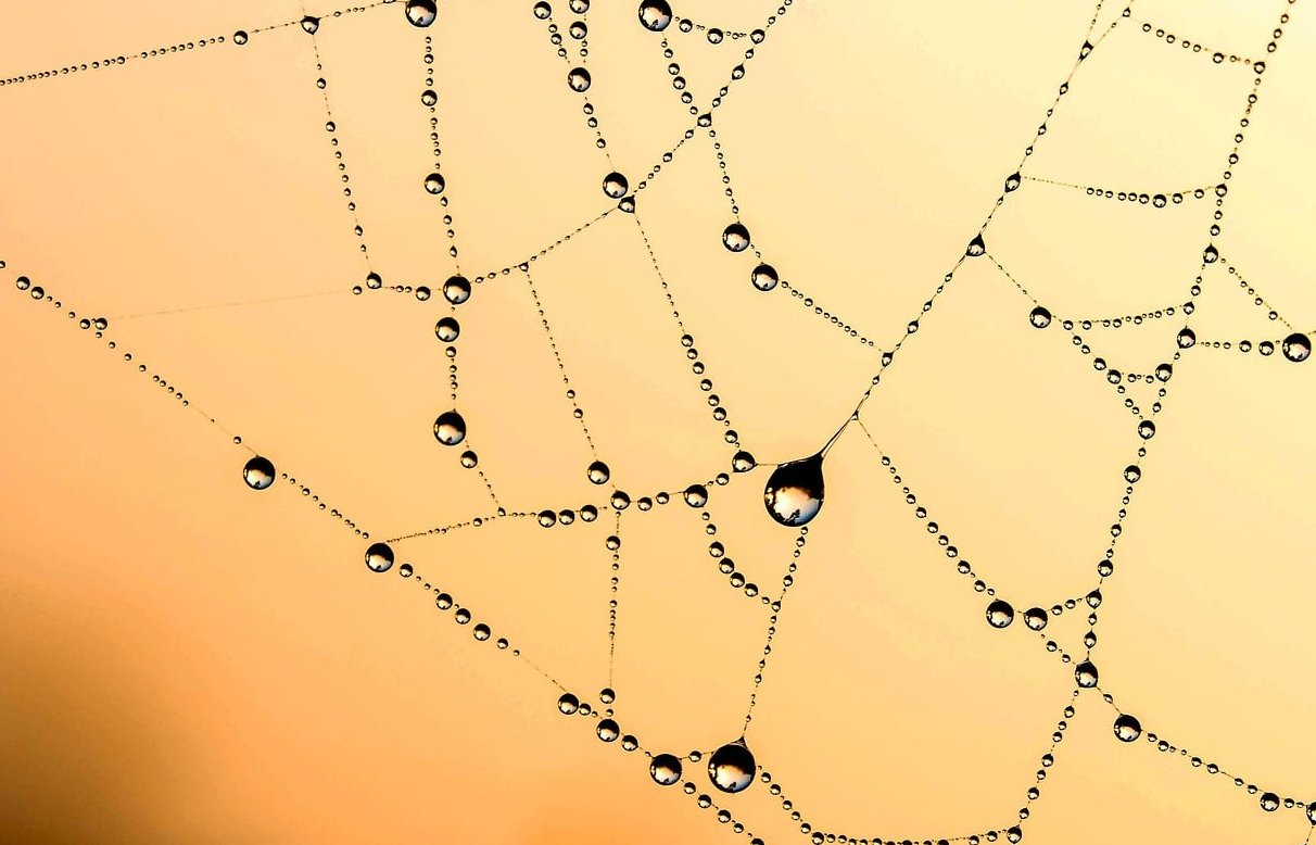 web accessibility